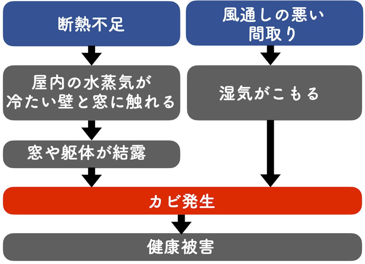 カビが発生するメカニズム