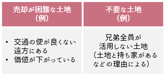 売却が困難／不要な土地を兄弟で相続する